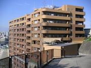 ロータリーパレス横濱山の手の画像