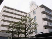 菊名スカイマンションの画像